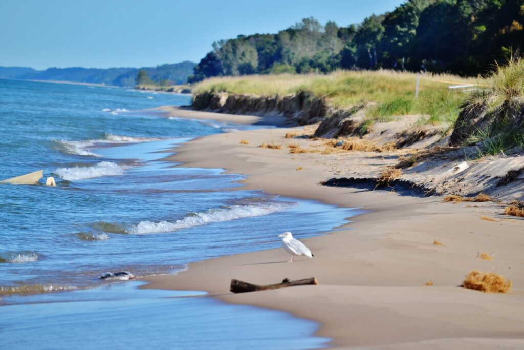 Milwaukee beach