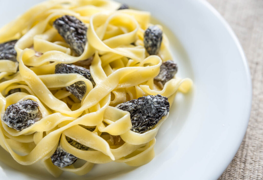 Tagliatelle with morel mushrooms