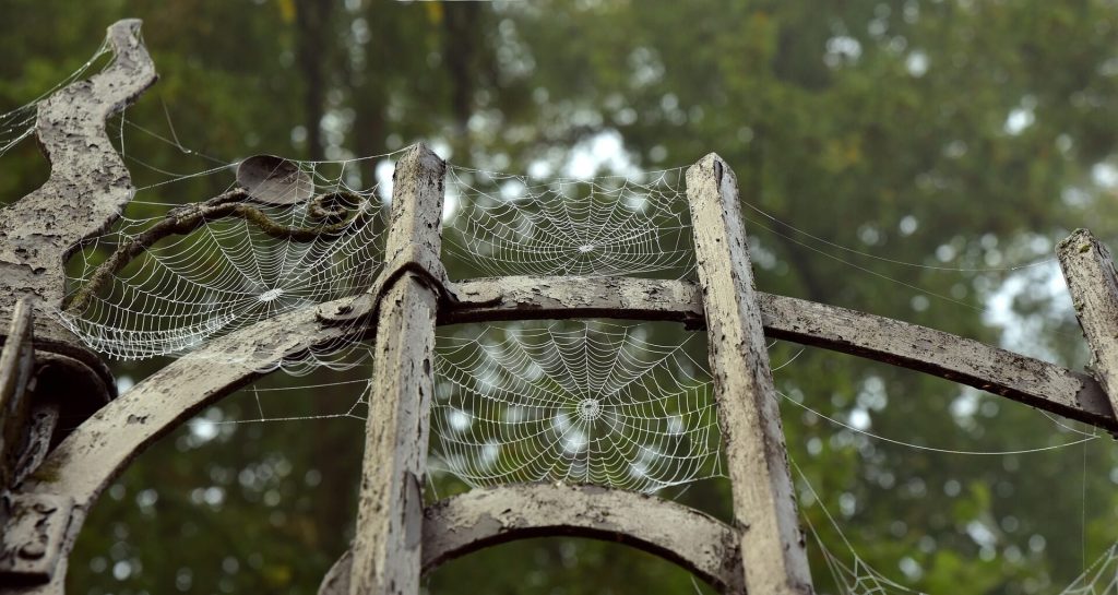 Old metal gate with cobwebs